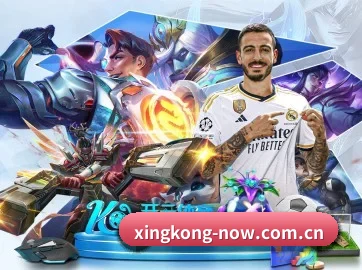 全流程赛事陪伴, 观赛有据可依