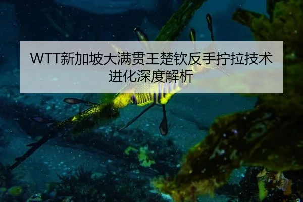 xin-jia-po-da-man-guan-wang-chu-qin-fan-shou-ning-la-ji-shu-jin-hua-shen-du-jie-xi-3-627.jpg