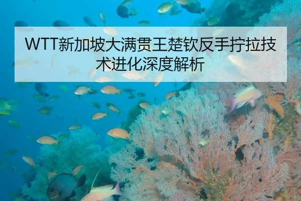 WTT新加坡大满贯王楚钦反手拧拉技术进化深度解析
