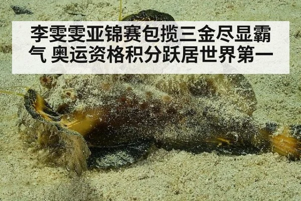 李雯雯亚锦赛包揽三金尽显霸气 奥运资格积分跃居世界第一